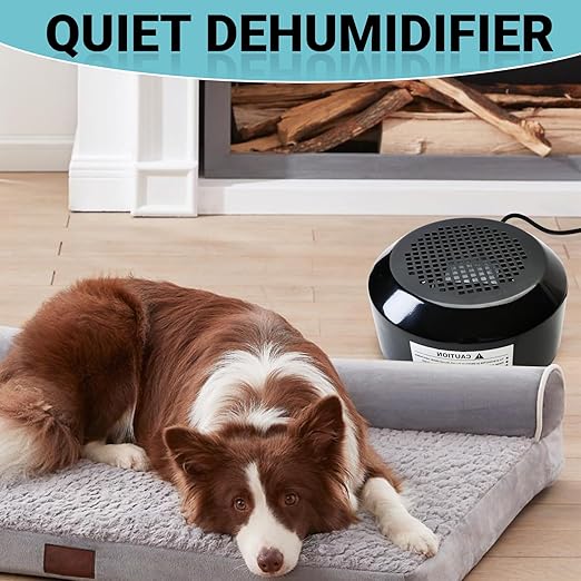 Air Dryer, Removes Water from The Air in a Room Used for RVs Boats and Small Spaces, 120V AC, 70 Watts, Low Power, Micro Dehumidifier - Image 3