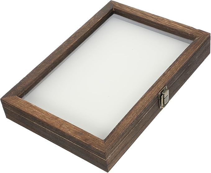 Angoily Wooden Insect Display Case Specimen Box with Clear Window, Wall-Mount Bug Collection Box for Insect and Dried Flower Display, Multi-Functional Storage Organizer by Angoily