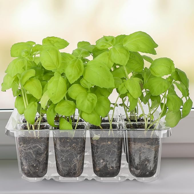 MIXC 10 Packs Seed Starter Tray Seed Starter Kit with Humidity Dome (120 Cells Total Tray) Seed Starting Trays Plant Starter Kit and Base Mini Greenhouse Germination Kit for Seeds Growing Starting - Image 7