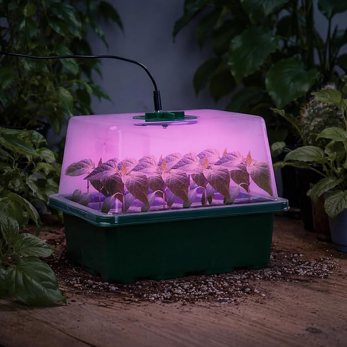Bonviee 5 Packs Seed Starter Tray with Plant Light, Elevated Seedling Starter Trays Kits with Adjustable Humidity Domes and Clear Cell Tray, 12 Full Spectrum led lamp Beads for Plants Indoor-Green - Image 8