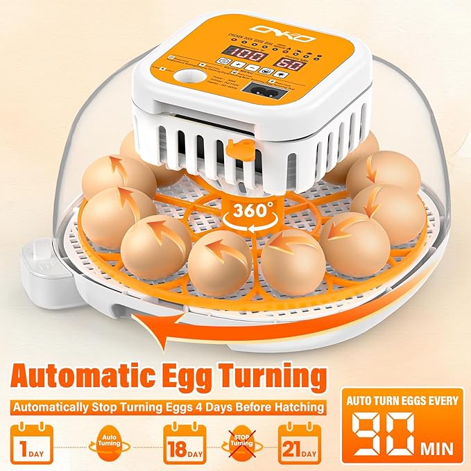 ONKO 12 Egg Incubator with Auto Temp & Humidity Control for Home, Farm, Classroom, Auto Egg Turner & Stop, External Water Refill, Air Vent, 360° Clear View, Hatching Chicken, Duck, Goose, Pigeon Eggs - Image 5