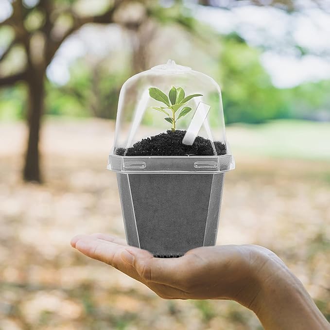 EBaokuup 10Pcs 4" Clear Plant Nursery Pots with Humidity Dome, Plastic Gardening Pot Plant Container, Seed Starting Pot with Drain Holes for Seedlings Vegetables Succulents Cuttings - Image 5