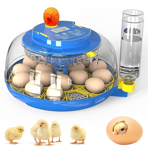 Incubator for Hatching Eggs with Automatic Egg Turning & Temperature/Humidity Control, 18 Egg Incubator for Chicken/Quail/Duck/Goose Eggs by Unknown