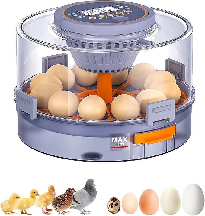Incubators for Hatching Eggs, 12 Chicken Incubator with Automatic Egg Turning and Humidity Control, Baby Chick Cozy Supplies with Egg Candler for Quail, Chickens, Duck, Goose by Unknown