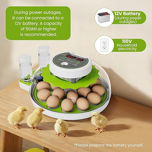 18-Egg Incubator incubators for Hatching Eggs with Automatic Egg Turning & Humidity Control, Transparent HD Panoramic Viewing & Candler Fertile for Farms, Science, classrooms, Homes Chickens Ducks - Image 3