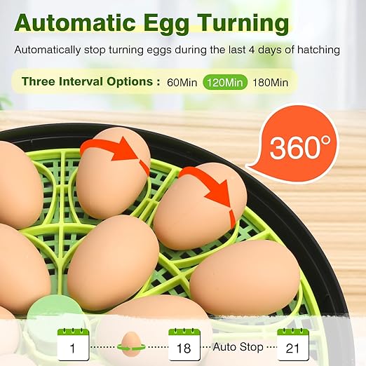 18 Egg Incubators for Hatching Eggs, Egg Incubator with Temperature Control, Humidity Display, Auto Egg Turner, Egg Candler, 2 Size Egg Trays, Digital Incubator for Chicken, Duck, Quail Eggs - Image 4