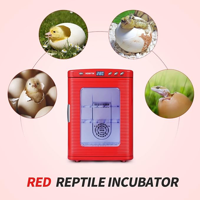 RYFT Incubators for Hatching Eggs, 25L Portable Reptile Scientific Lab Incubator with 5°C-60°C, 12V/110V Heating and Cooling for Small Reptiles (Red) - Image 6