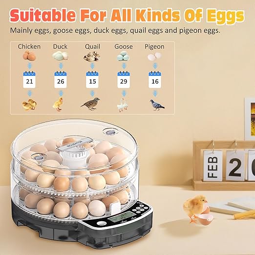 48 Egg Incubator with Automatic Egg Turning and Humidity Control, Intelligent Egg Incubator with Automatic Temp. Adjustment - Image 3