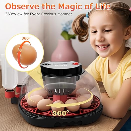 12 Egg Incubators for Hatching Eggs Automatic Egg Incubator with Temperature Control Humidity Control and Display for Chicken Duck Quail Eggs Auto Turner, Black red - Image 7