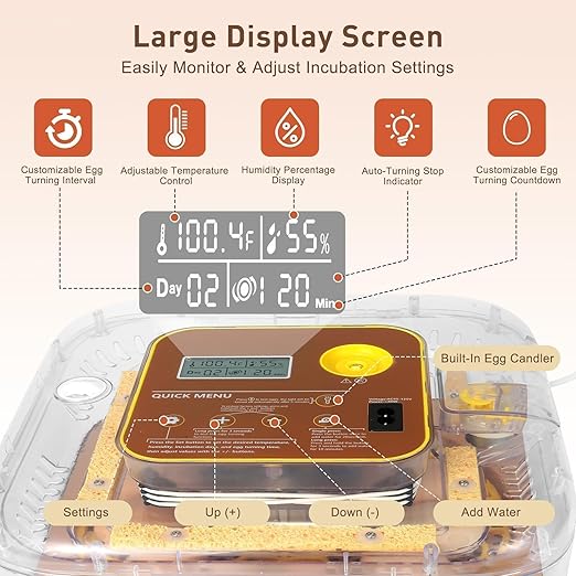 4th Gen - 12 Egg Fully Automatic Incubator, 2026 Upgraded Design, Intelligent Sensor-Based Humidity & Temp Control, Custom Hatch Days, Adjustable Auto Turning with Auto-Stop, 360° View, Alarm, Candler - Image 2