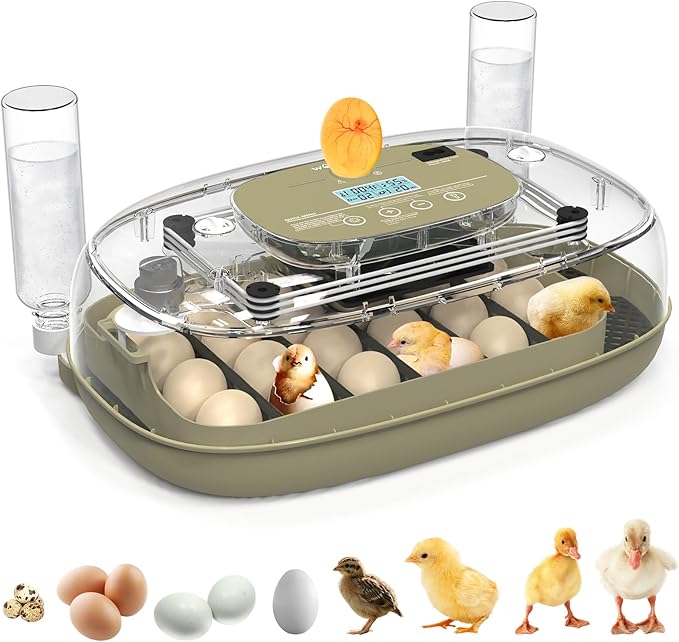 24 Egg Incubators for Hatching,Automatic Egg Turning and Temperature Control Humidity Display,Hatch Day,Automatic Water Refill,360° Viewing for Chicken Quail Duck by Unknown