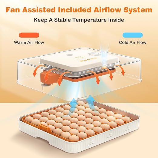 56 Egg Incubator for Hatching Chicken, Egg Incubator with Automatic Egg Turning and Humidity Temperature Control, Egg Candler, Chicken Incubator for Ducks/Quail/Goose Farm House lab Class - Image 4