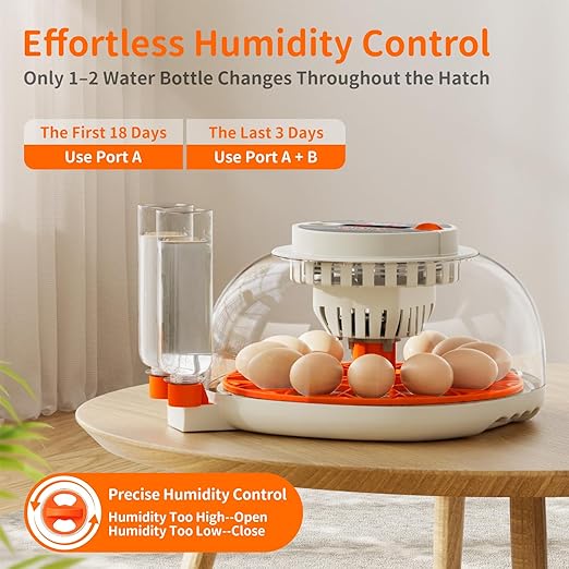 Egg Incubator with Temperature and Humidity Control, Automatic Egg Turning, Egg Candler, External Water Bottle, Adjustable Air Vent, 360° Clear View, for Chicken, Duck & Quail Eggs, APDOE HatchPro 12 - Image 4