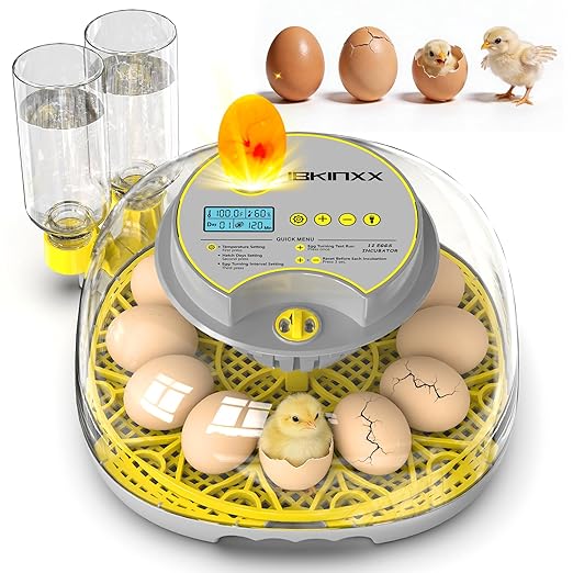 Incubator for Hatching Eggs-12 Egg Capacity, 2026 Newly Upraded Automatic Egg Turner, Temperature & Humidity Control, 360° Viewing for Chicken, Duck and Quail Eggs (Grey) by IBKINXX