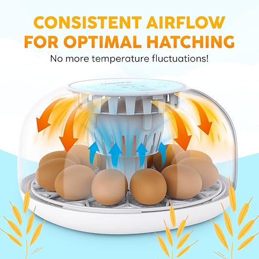 M12 Incubators for Hatching Eggs - Egg Incubator with Automatic Turner and Humidity Control - 12/24 Eggs - Incubadora de Huevos de Gallina - Easy to Use and Clean - 360° View - Blue - Image 7