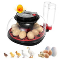2nd Gen - 12 Egg Automatic Incubator, Two-Stage Humidity with Auto-Refill & Stable Temp Control, Auto Egg Turning, Candler, Real-Time Display for Hatching Chicken, Goose, Duck, Quail, Pigeon by Unknown