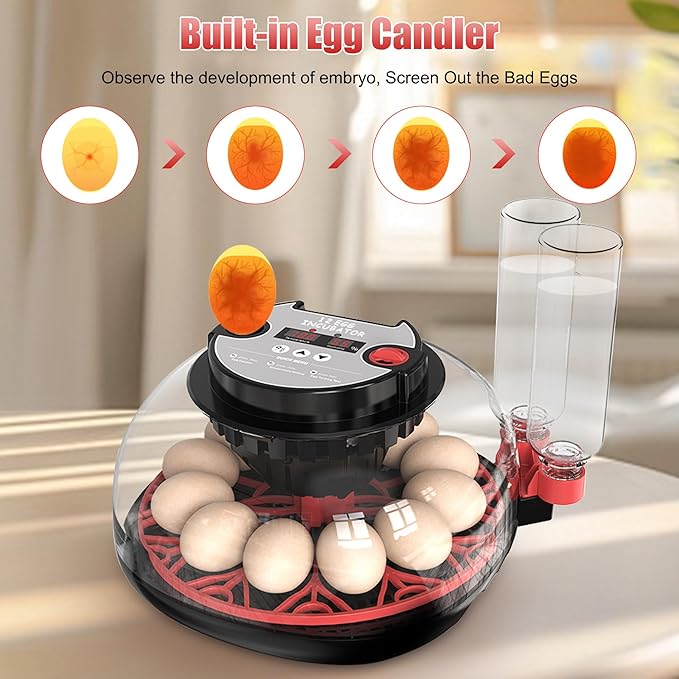 12 Egg Incubator with Temperature Control, Humidity Display, Automatic Egg Turner and Candler, Automatic Water Bottle Refill, for Hatching Chickens/Ducks/Gooses/Quail - Image 5