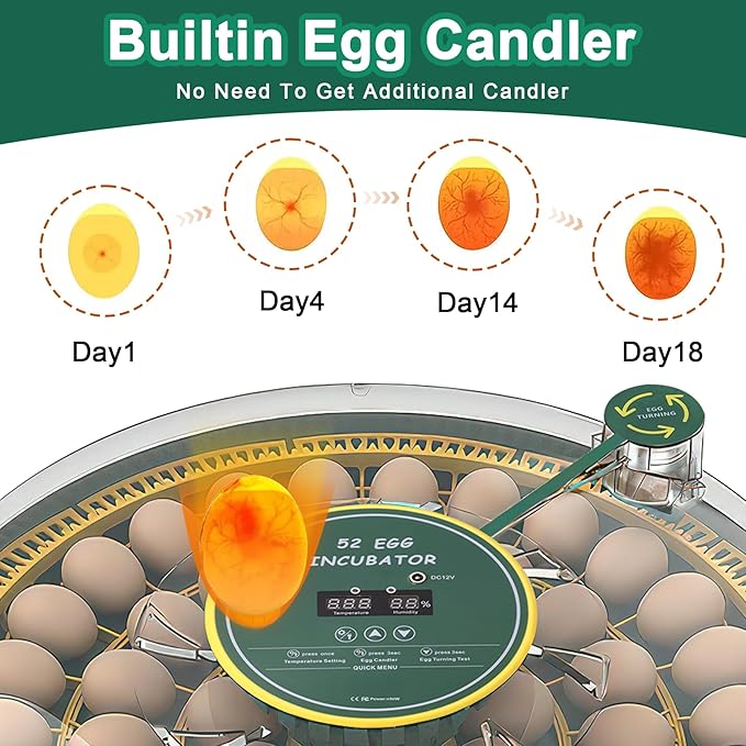 52 Egg Incubator with Automatic Egg Turning and Humidity Control,360 Degree View with Clear Window, Incubators for Hatching Eggs, Chicken, Ducks, Goose, Pigeon, Quail, Parrot - Image 5