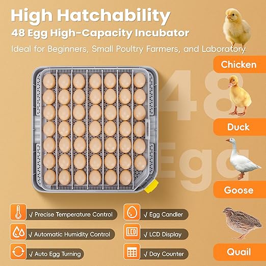 48 Incubators for Hatching Eggs, Egg Incubator with Automatic Egg Turning and Humidity Control, Temp Control, Egg Candler, Auto Water Refilling, Incubator for Chicken Eggs, Duck and Quail Eggs - Image 2