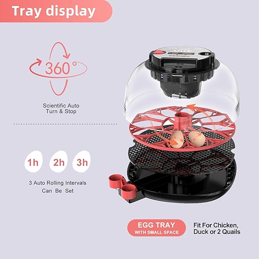 12 Egg Incubator for Hatching Chicken, Duck, Quail Eggs – 360° Visible Lid, Automatic Turning & Humidity Control, Built-in Egg Candler – Ideal for Home & Classroom Science Projects - Image 4