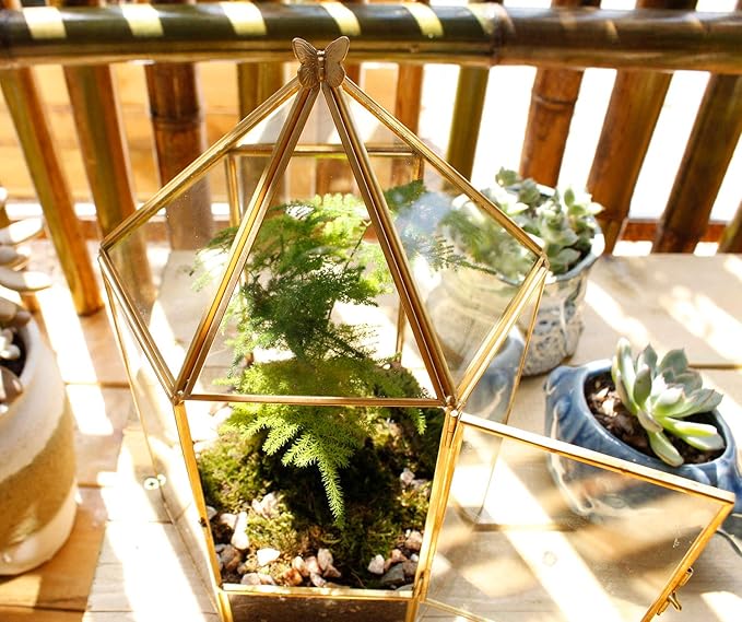 ELEGANTLIFE Glass Geometric Plant Terrarium,Succulent & Air Planter for Home Garden Office Decoration,No Plants(Gold Hexagonal) - Image 5