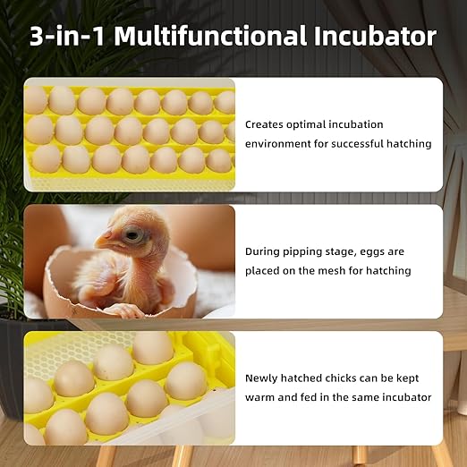 Egg Incubator for Hatching Eggs, Automatic Egg Turner & Digital Humidity Control, 56 Egg Capacity, Clear Temperature Display, Externa, 360° Clear Viewing for Poultry, Ducks, Quail (48-56 Eggs) - Image 4