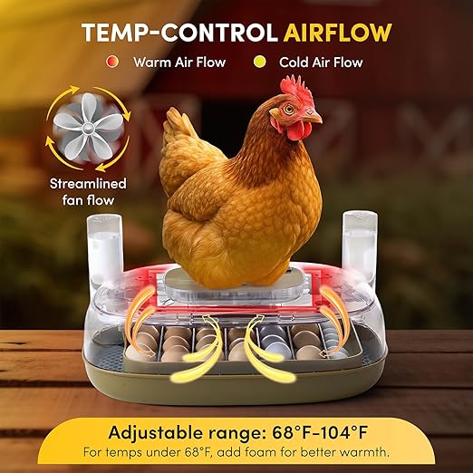 HIRALIY Incubator for Hatching Eggs, 48 Quail Capacity, Chicken & Quail Egg Incubator with Automatic Egg Turning and Humidity Control, 360° Viewing for Home, Farm, Classroom - Image 6