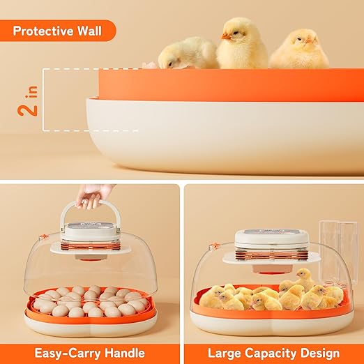 25 Egg Incubator, Extra-Large Interior with High Protective Wall, Top Carry Handle, Automatic Egg Turner, Preset Incubation Period, Auto Water Refill, for Chicken, Quail & Duck Eggs, APDOE HatchPro 25 - Image 2