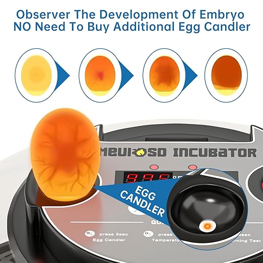 12-24 Egg Incubator with Humidity Display, Egg Candler, Automatic Egg Turner, for Hatching Chickens Duck Quail Parrot - Image 3