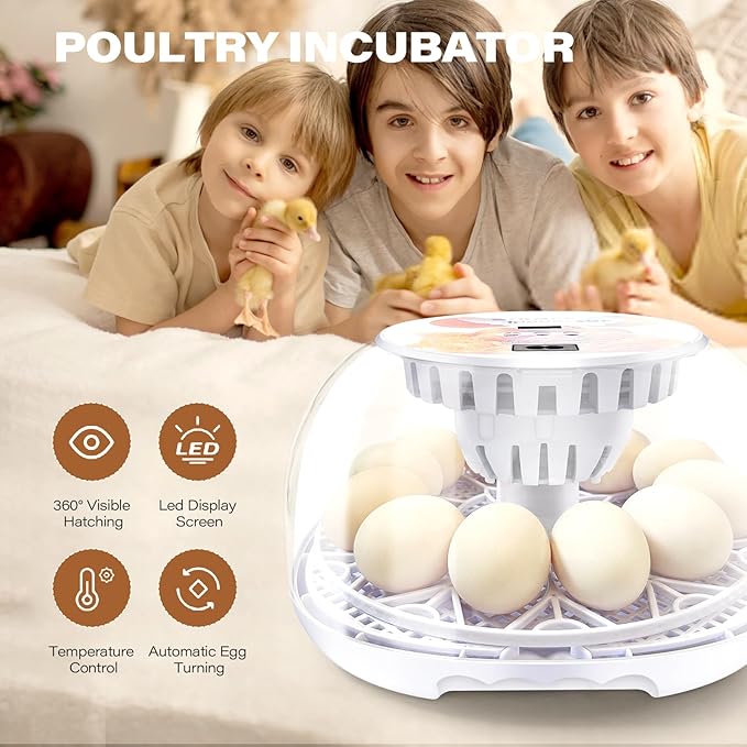 12 Egg Incubators for Hatching Eggs | with Auto Egg Turner, Temp & Humidity Control | 360° Viewing for Chicken, Duck, Quail Eggs | Ideal for Farm, School, Home - Image 4