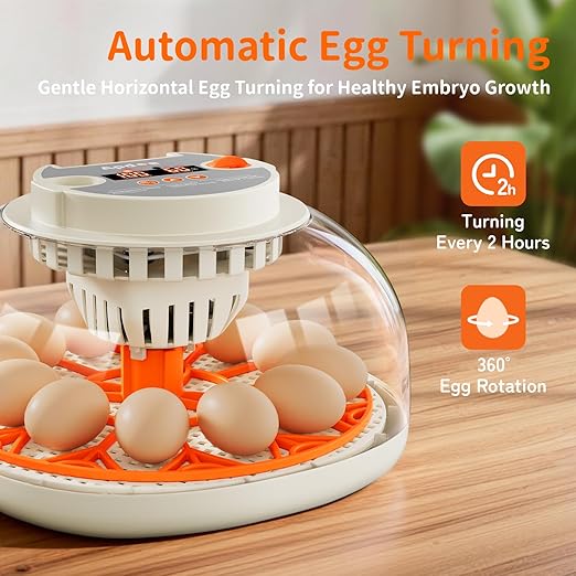 Egg Incubator with Temperature and Humidity Control, Automatic Egg Turning, Egg Candler, External Water Bottle, Adjustable Air Vent, 360° Clear View, for Chicken, Duck & Quail Eggs, APDOE HatchPro 12 - Image 3