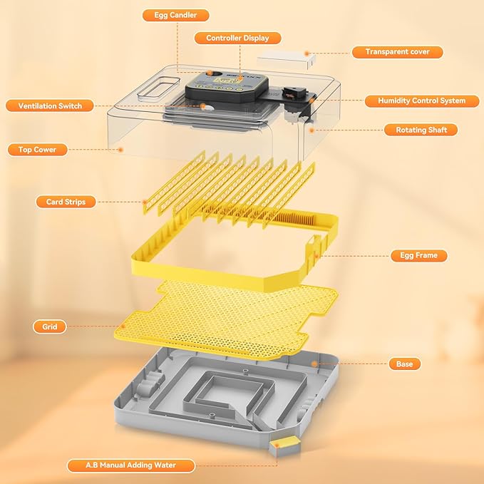 Incubator for Hatching Eggs-48 Egg Capacity, 2026 Newly Upraded Auto Egg Turner & Auto Precision Humidity Control System, 360° Clear Viewing for Chicken, Duck and Quail Eggs (Yellow) - Image 5