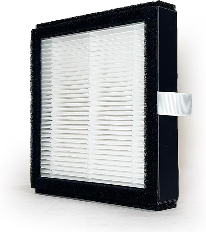 Nispira DH02 True HEPA Filter Replacement for Tenergy Sorbi Air Purifier Dehumidifier/Afloia AQ8 Q8 / Honati/Hysure Q7 1 Pack by Nispira