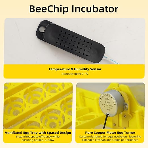 Egg Incubator for Hatching Eggs, Automatic Egg Turner & Digital Humidity Control, 56 Egg Capacity, Clear Temperature Display, Externa, 360° Clear Viewing for Poultry, Ducks, Quail (48-56 Eggs) - Image 2