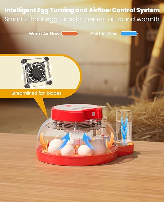 8 Chinken Incubators for Hatching Eggs with Automatic Egg Turning and Humidity Control Automatic Water Refill,Egg Candler Nature Right 360 Incubator Duck Quail Chick Turkey Hatching Incubator - Image 6