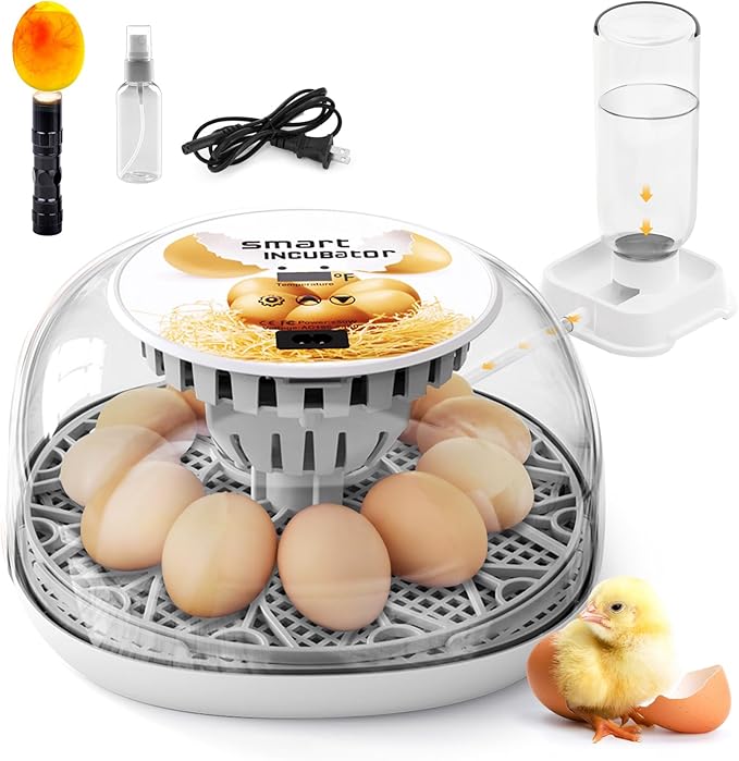 Egg Incubator for Hatching Chicks, Automatic Egg Turner Holds 12 Eggs, Smart Incubator 360° Clear Window with Temperature Display Egg Candler for Small Poultry Chickens Ducks Quails Eggs by SENXINGYAN