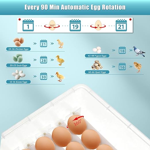 Incubators for Hatching Eggs,36 Egg Incubator,Automatic Egg Turning,Temperature & Humidity Control,Abnormality Monitoring,Egg Candle,Professional Incubator for Chicken,Duck,Geese,Quail - Image 8