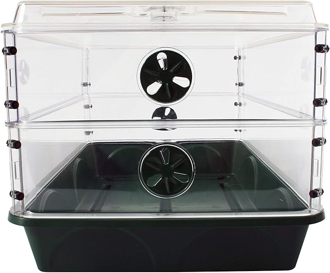 EarlyGrow 93807 Domed Propagator, 2 Height Extenders, Green - Image 3