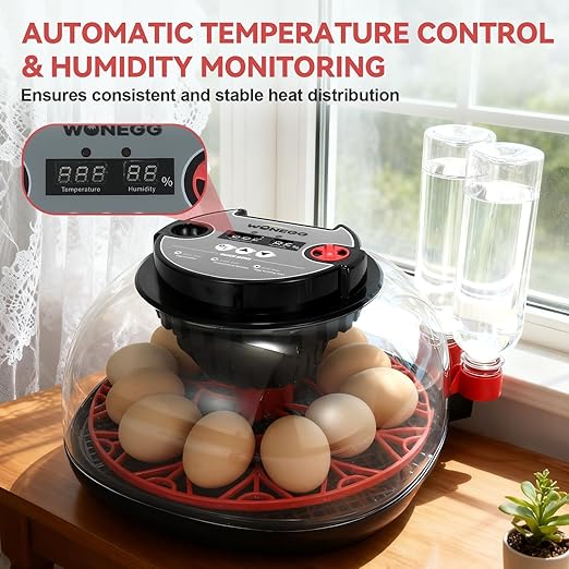 2nd Gen - 12 Egg Automatic Incubator, Two-Stage Humidity with Auto-Refill & Stable Temp Control, Auto Egg Turning, Candler, Real-Time Display for Hatching Chicken, Goose, Duck, Quail, Pigeon - Image 5