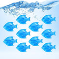 Humidifier Tank Cleaner, 10PCS Universal Humidifier filters fish Compatible with Drop,Droplet, Warm&Cool Mist Humidifiers, Fish Tank, Keep The Water (Fish-blue) by Raipoment