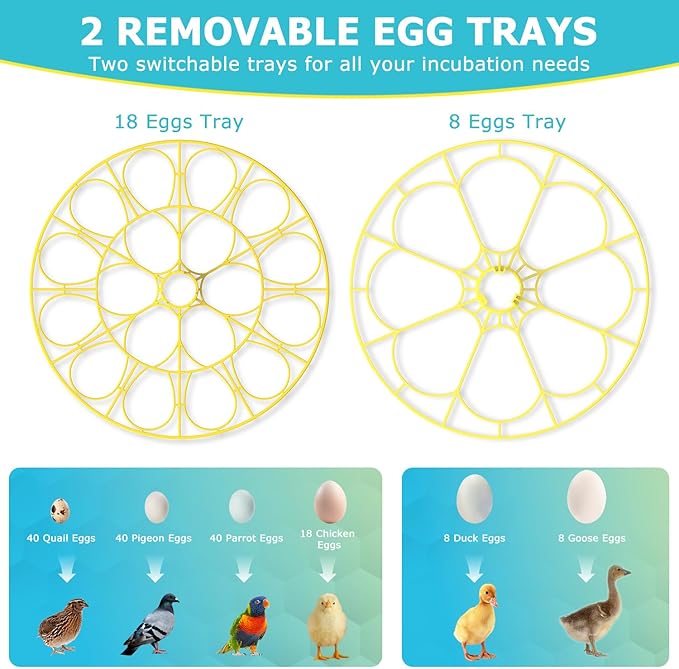 Incubators for Hatching Eggs, 18 Eggs Incubator with Automatic Egg Turning and Temperature Humidity Control, Egg Candler with 360° Viewing for Home, Farm, Classroom, Hatching Chicken, Duck,Quail,Goose - Image 5