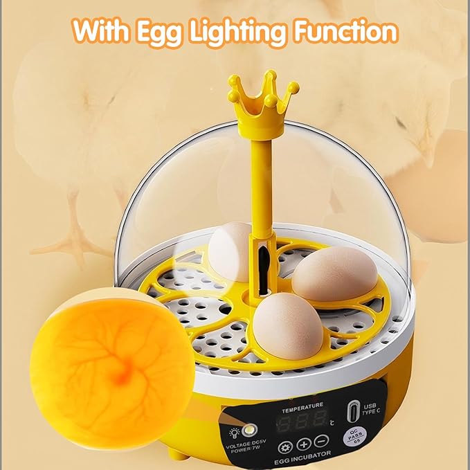 Tissting 4 Eggs Mini Incubator with Transparent Lid,7W Automatic Temperature Humidity Control,Household Small Poultry Hatching Machine,for Chickens Ducks Pigeons (Manual Turning) - Image 8