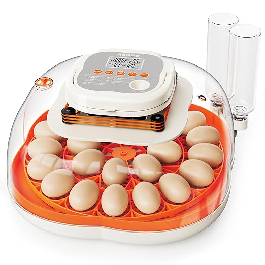 25 Egg Incubator, Extra-Large Interior with High Protective Wall, Top Carry Handle, Automatic Egg Turner, Preset Incubation Period, Auto Water Refill, for Chicken, Quail & Duck Eggs, APDOE HatchPro 25 by APDOE