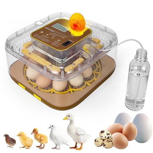 4th Gen - 12 Egg Fully Automatic Incubator, 2026 Upgraded Design, Intelligent Sensor-Based Humidity & Temp Control, Custom Hatch Days, Adjustable Auto Turning with Auto-Stop, 360° View, Alarm, Candler by Unknown