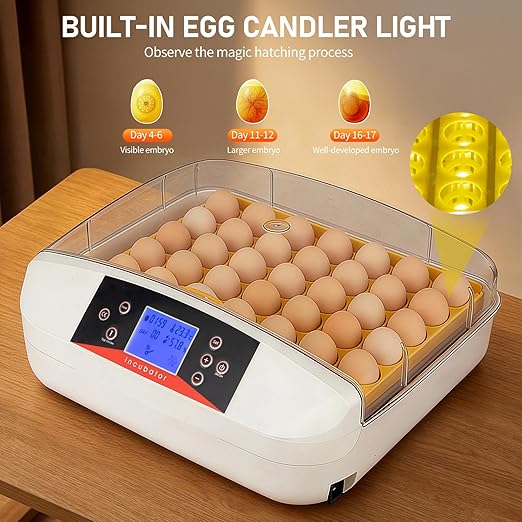 Winado Incubators for Hatching Eggs, 41 Egg Incubator with Automatic Egg Turning & Temperature Control, Egg Candler, and Day Counter for Chicken, Duck, and Quail Eggs Hatching - Image 2