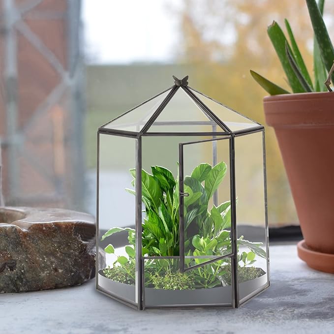 ELEGANTLIFE Glass Geometric Plant Terrarium,Succulent & Air Planter for Home Garden Office Decoration,No Plants(Black Hexagonal) - Image 4