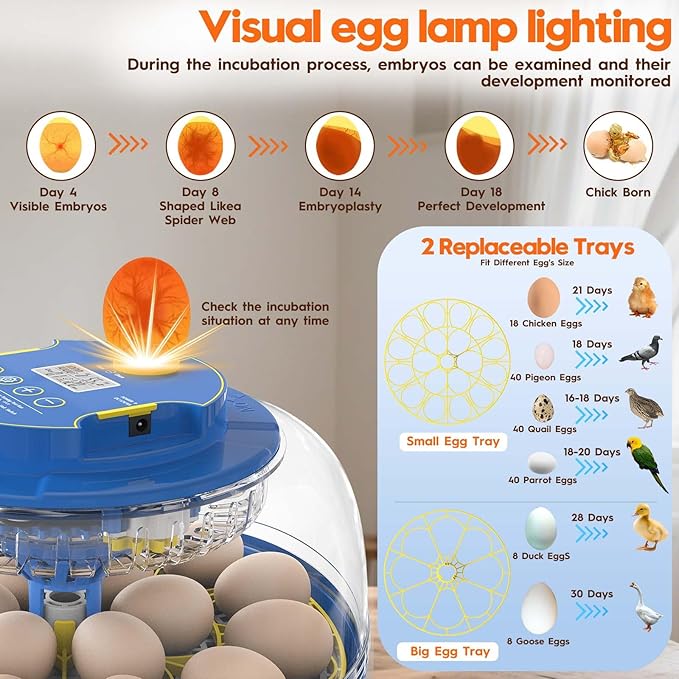 Incubator for Hatching Eggs-18 Egg Incubator with Automatic Egg Turning and Humidity Control 360°View Incubadora De Huevos,Ducks,Goose,Pigeon,Quail Incubator for Home,Farm,Lab,Science Classroom - Image 5