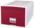 Storex 24-Inch Archive Storage Box for Letter Size Hanging Files, Frosted/Ruby Red (61105U01C) by Storex