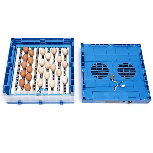 64 Hatching Eggs Incubator Digital Automatic Incubator, Temperature Humidity Control, 360° Automatic Egg Turner, Function Panel Display for Hatching Chicken Duck Goose Pigeon Quail - Image 4