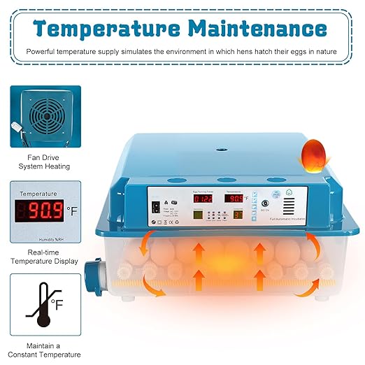 64 Egg Incubators for Hatching Eggs, with Auto Turner & Humidity Control, Automatic Egg Turning Rotates 360 Degrees, Visual Control Panel, Hatchable Duck/Goose/Bird Eggs for Home, Farm, Classroom - Image 6